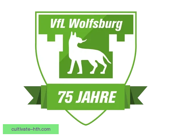 沃尔夫斯堡足球俱乐部发展历程与未来前景分析