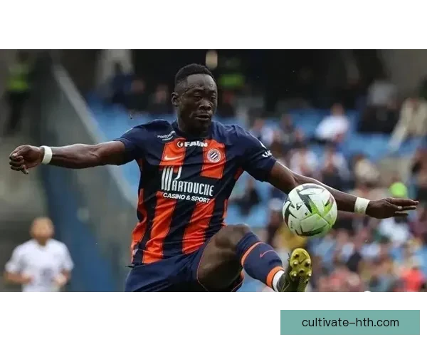 英超豪门冬窗引援曝光主帅直言冲击冠军战术升级与青训计划同步推进