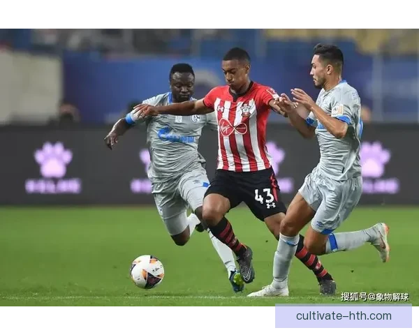 南安普顿足球俱乐部发展历程与辉煌战绩全景解析