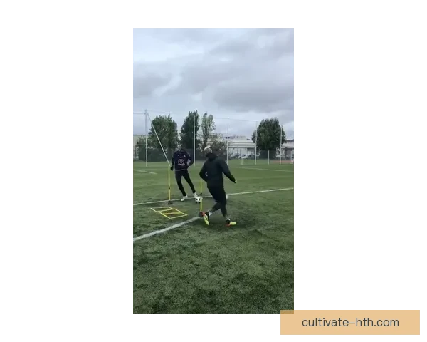 图卢兹俱乐部最新动态分析：球队表现与未来赛季战略布局揭秘