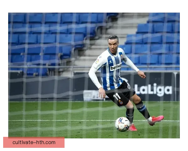 拉斯帕尔马斯足球俱乐部的历史发展与未来展望分析