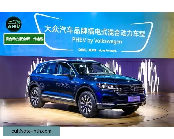 沃尔夫斯堡俱乐部的发展历程与未来战略全面解析