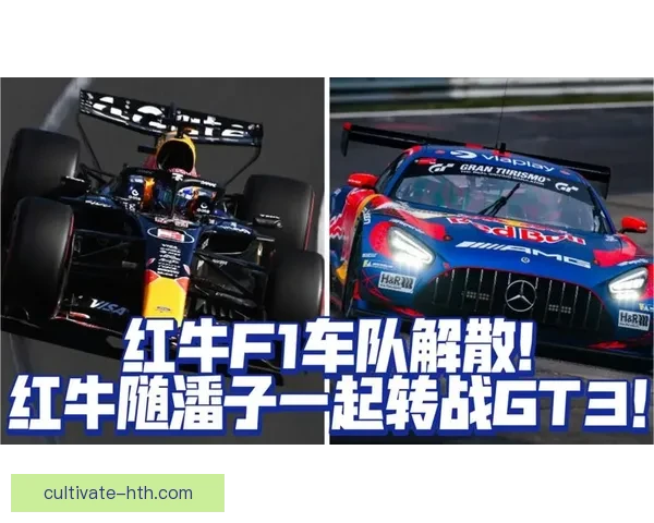 F1车队竞争激烈 新赛季赛道变革引发各方关注