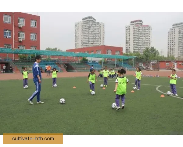 卡迪夫城俱乐部最新赛季动态与球队发展全景解析