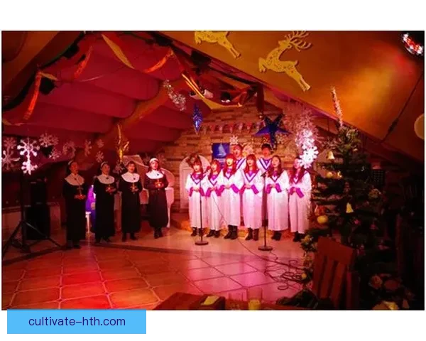 梅斯俱乐部打造极致体验引领城市高端社交新潮流