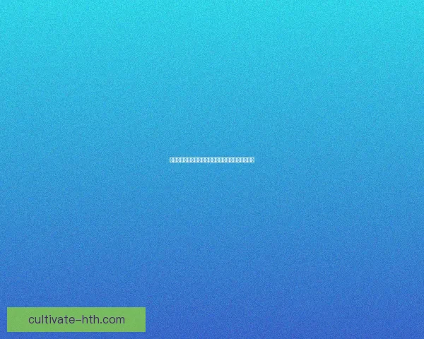 普鲁士门兴格拉德巴赫俱乐部最新动态与赛季战略分析