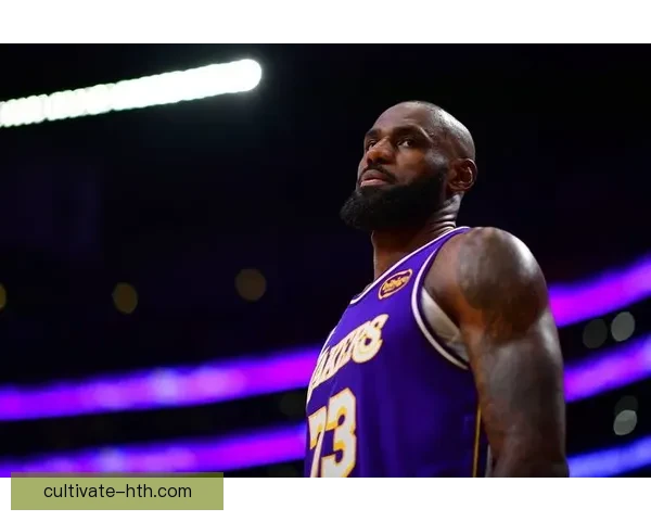 湖人队正式宣布签下新援，詹姆斯与戴维斯迎接新赛季挑战