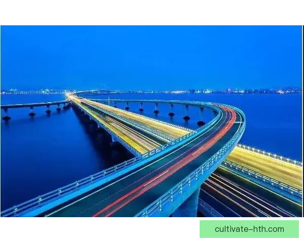 诺丁汉森林俱乐部辉煌历史与未来发展全景解析 诺丁汉森林俱乐部辉煌历史与未来发展全景解析