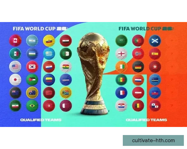 2026世界杯小组赛全解析各队分组实力对比及出线形势预测