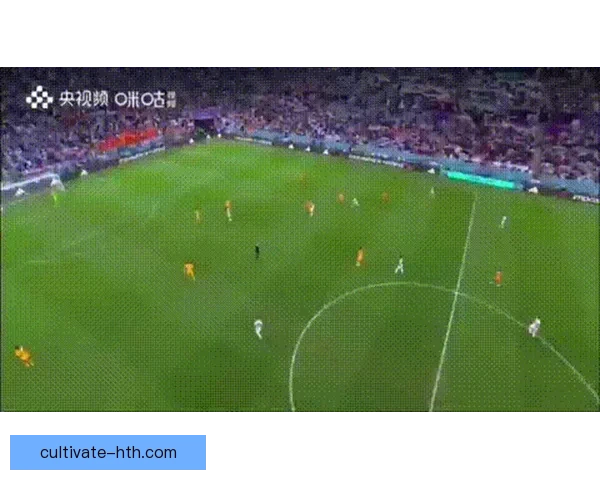 世界杯历届数据深度分析球员进球助攻与球队战绩变化趋势